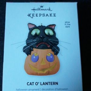 Hallmark keepsake ornament